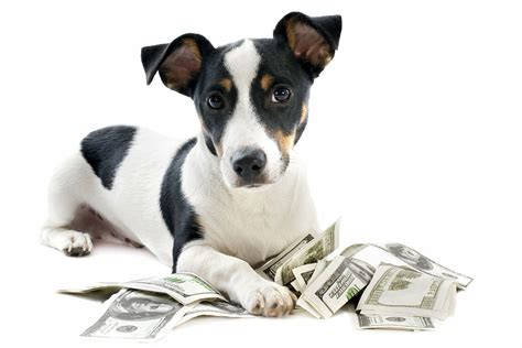 pet shipping cost estimate